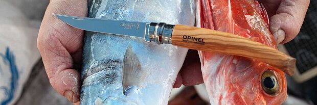 Нож филейный Opinel 12, нержавеющая сталь, рукоять оливковое дерево, 001145 - 2